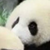 班里的同学