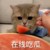父母