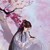 青莲