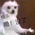 瑰容小姐姐