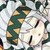 帕洛斯