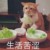 菲尔.科尔森