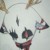 BloodElf