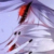 九公主
