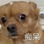 金辞安
