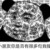 黄老板