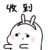 小兔子