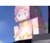 露娜