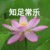 刘海（教导主任）