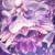 钻石公主雅蒂斯