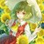 风见幽香