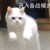 李飞——局长