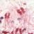 作者——梦辰之虹