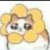 喵喵