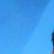 导演