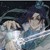 大师兄