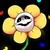 flowey.