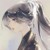 陶奈