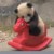 龙套