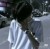張澤宇