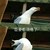 小角色
