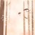 萬(wàn)能龍?zhí)?/>
                                <p>萬(wàn)能龍?zhí)?/p>
                            </a>
                        </div>
                    <a href=