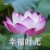 導(dǎo)演
