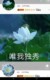 蓮花