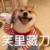 作者大大