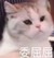 大臣4