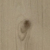 學(xué)生2