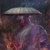 不良帅