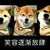 范剑