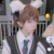 小狮子