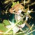 叶星澜·成年