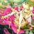 花葵