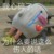 舅舅