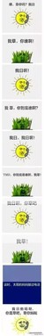 舅舅陈某