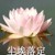 林泽他爸