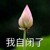 陈志
