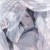 作者闺蜜