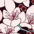 菊殘