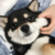 六斤的爹
