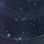 懂王漂亮国
