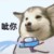 甲乙丙丁