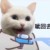 吃瓜群众