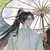 楚言熙