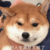 作者