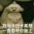 万能角色