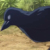 鎹鸦